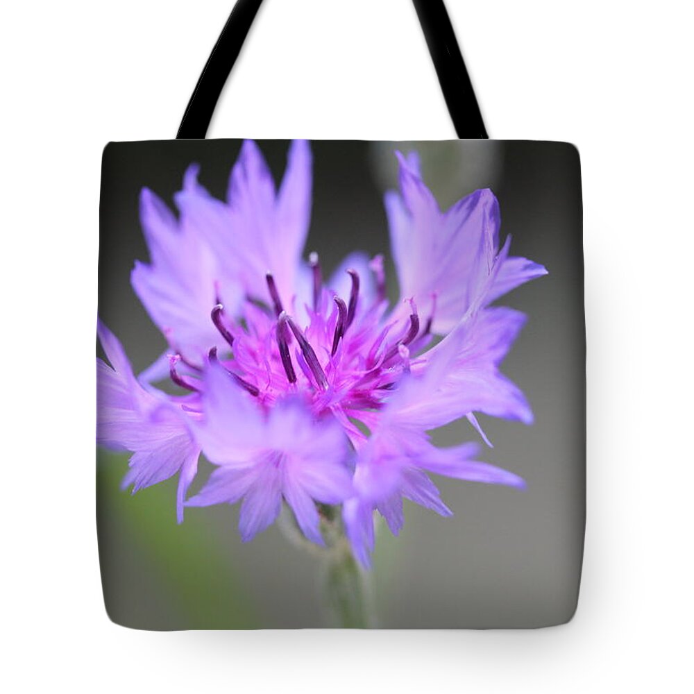 Flower Tote Bag featuring the photograph Bachelor's Buttons by Ruth Kamenev