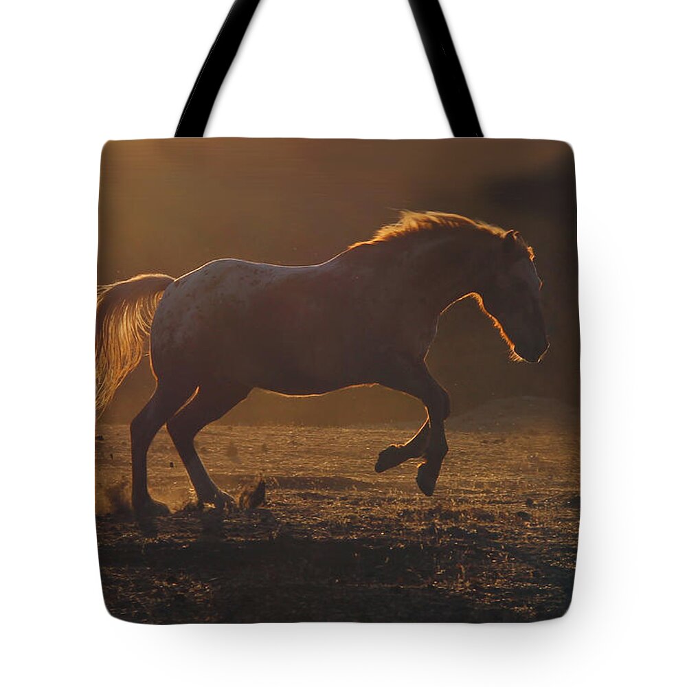 Horse Tote Bag featuring the photograph Appaloosa Horse in Golden Sunset by Stephanie Laird