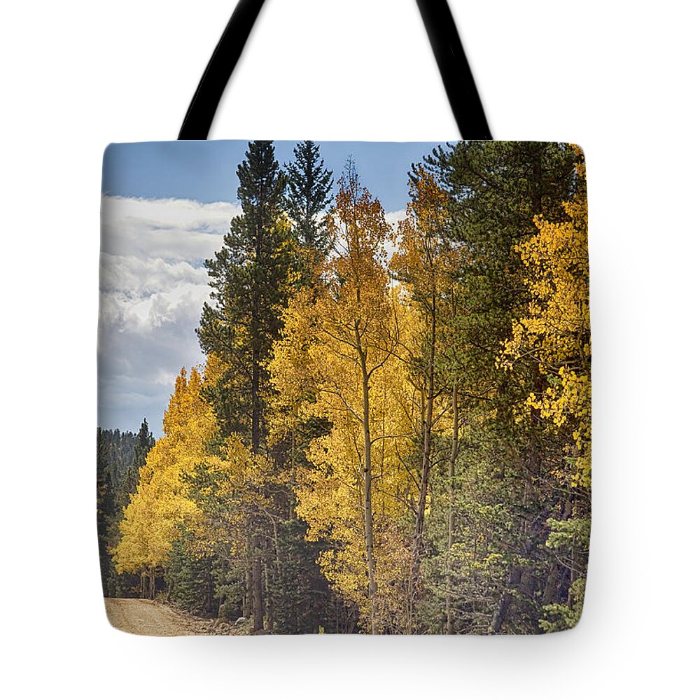 Autumn Tote Bag featuring the photograph Back Road To Autumn by James BO Insogna