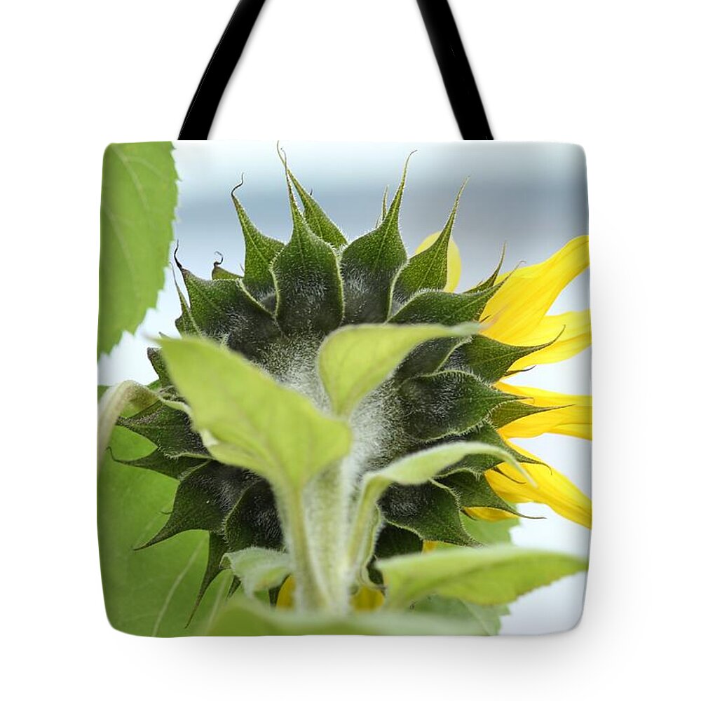 Green And Yellow Tote Bag featuring the photograph Rear View Image by E Faithe Lester