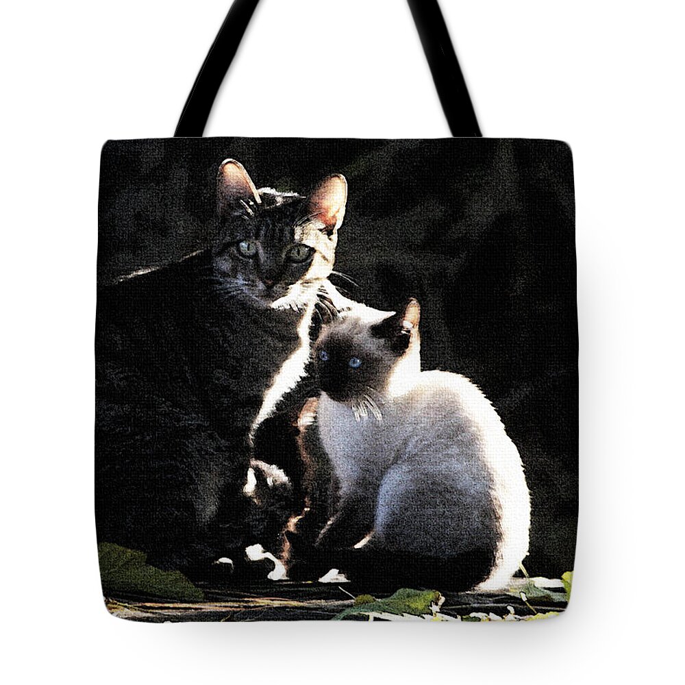 Back Yard Wild Cats Tote Bag featuring the photograph Back Yard Wild Cats by Tom Janca