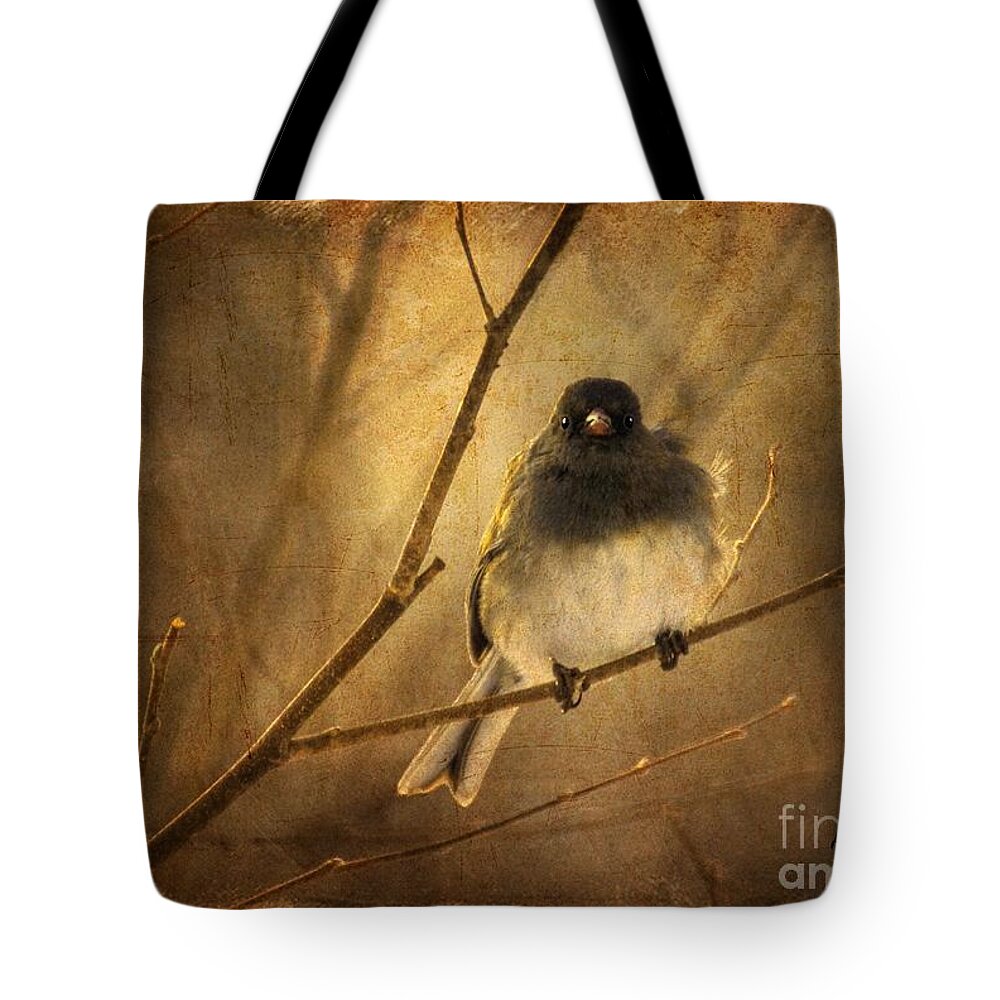 Bird Tote Bag featuring the photograph Backlit Birdie Being Buffeted by Lois Bryan