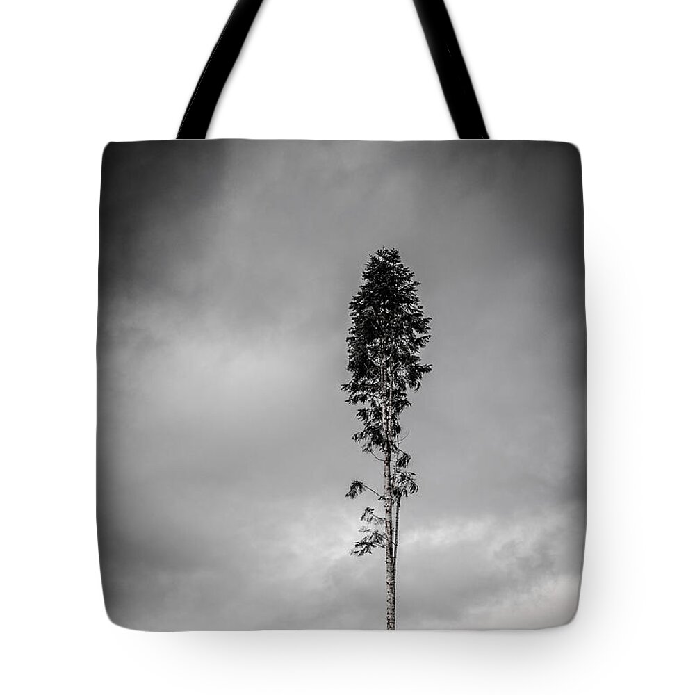 Black And White Tote Bag featuring the photograph Lone Tree Landscape by Roxy Hurtubise
