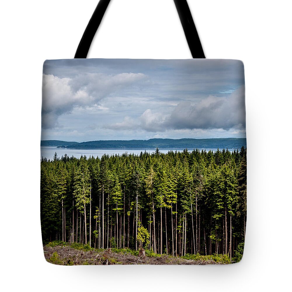Backroad Tote Bag featuring the photograph Logging Road Landscape by Roxy Hurtubise