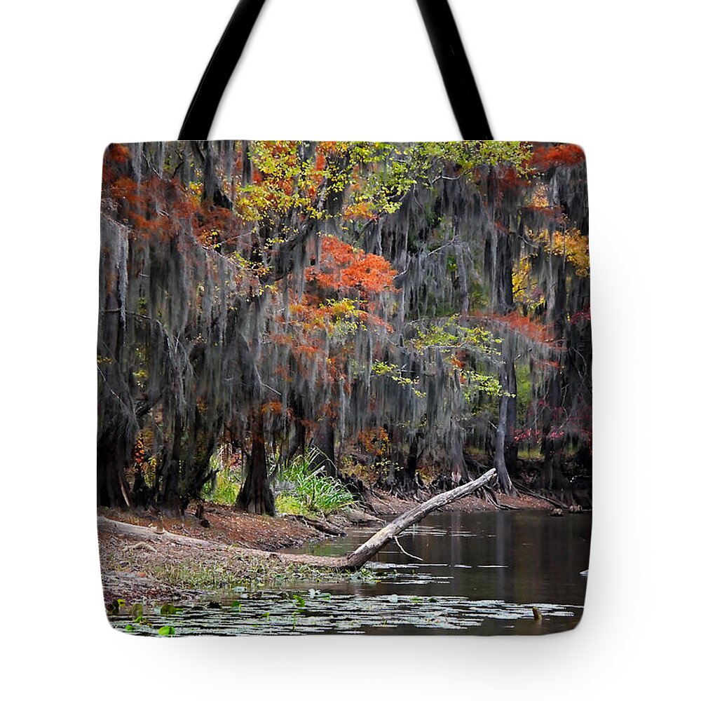 Autumn Tote Bag featuring the photograph Backwater Autumn 2 by Lana Trussell