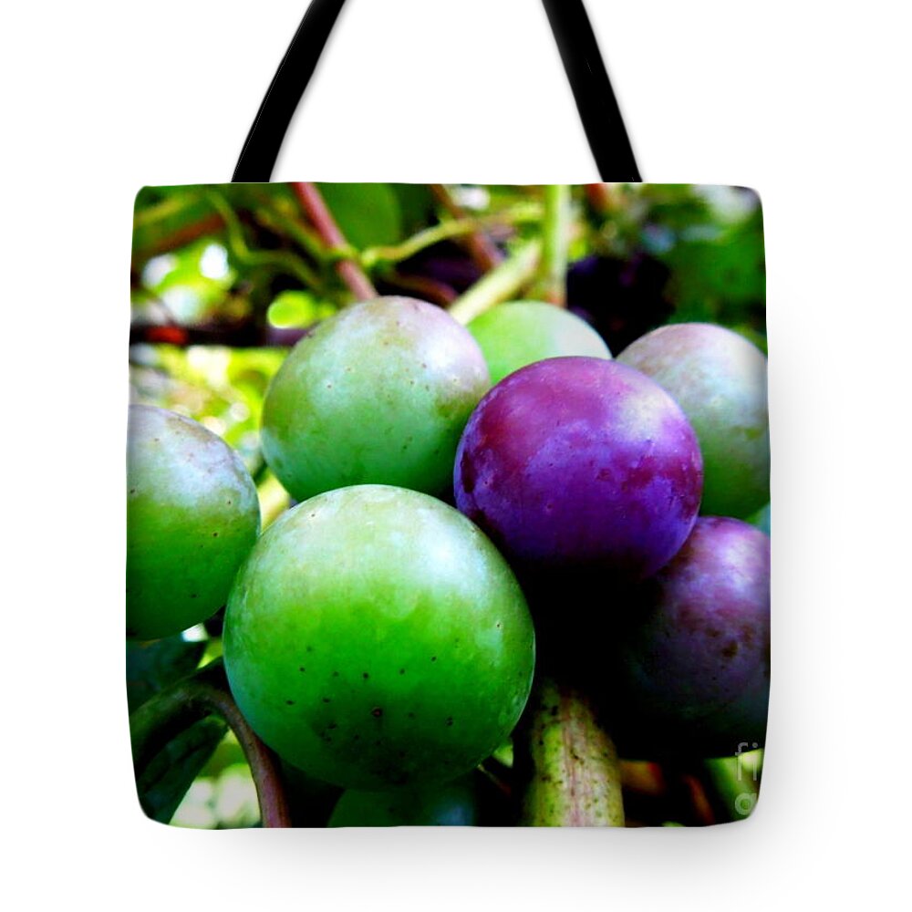 Grape Tote Bag featuring the photograph Backyard Grapes by Renee Trenholm
