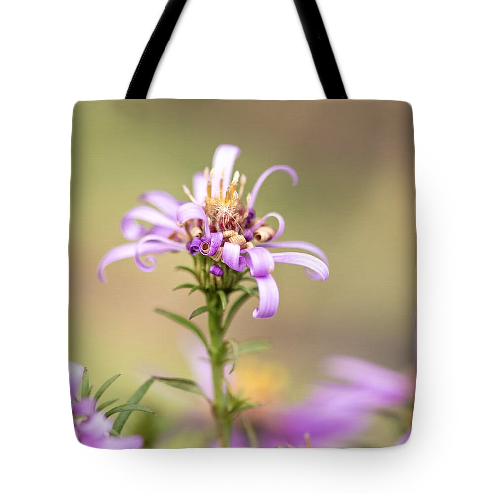 Flower Tote Bag featuring the photograph Bad Hair Day by Sandra Parlow