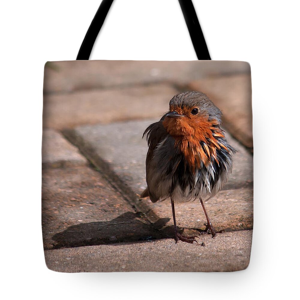 Bird Tote Bag featuring the photograph Bad Hair Day by Shirley Mitchell
