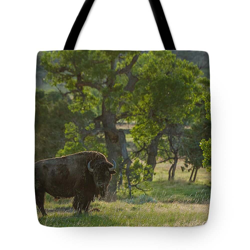 Badlands National Park Tote Bag featuring the photograph Badlands bison by Joan Wallner