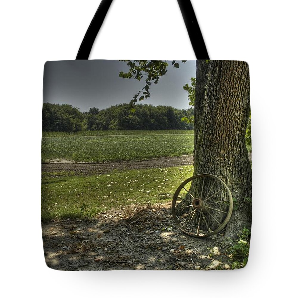 Brandywine Tote Bag featuring the photograph Balance by DArcy Evans