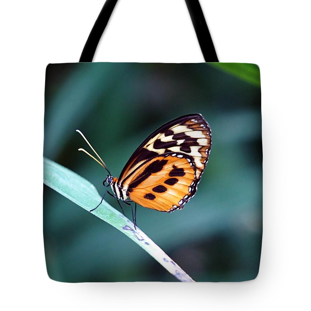 Butterfly Tote Bag featuring the photograph Balanced by Jenny Hudson