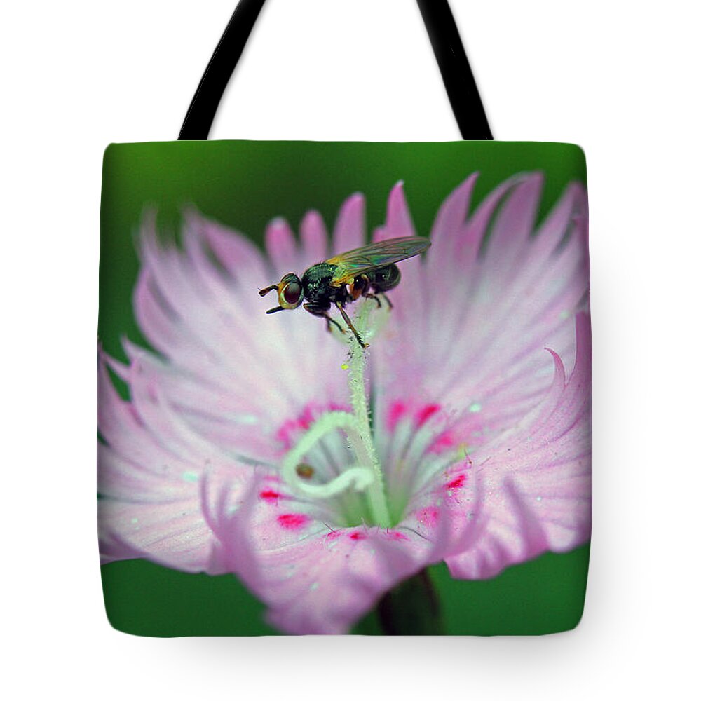 Insects Tote Bag featuring the photograph Balancing Act by Jennifer Robin