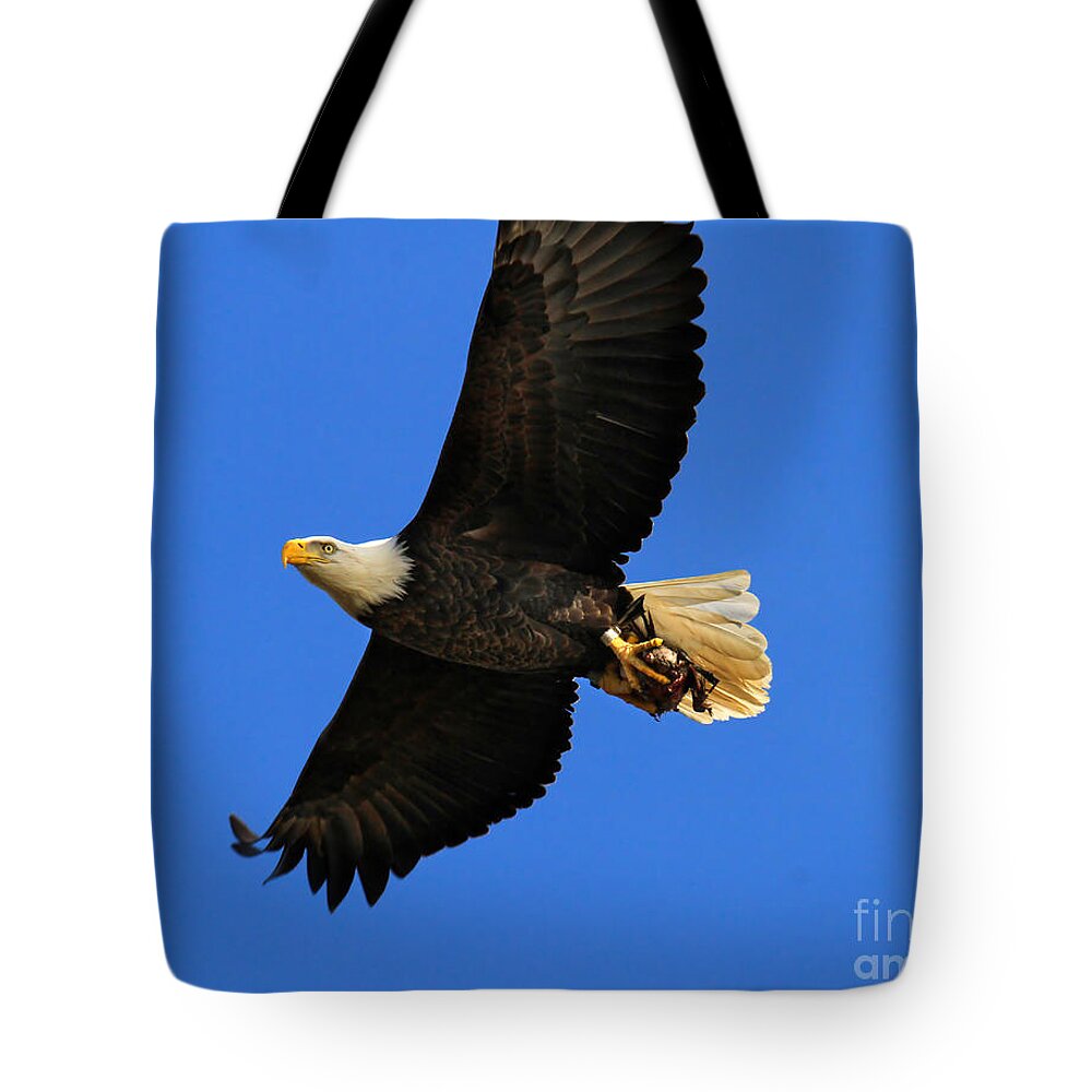 Eagle Tote Bag featuring the photograph Bald Eagle in Flight by Roger Becker