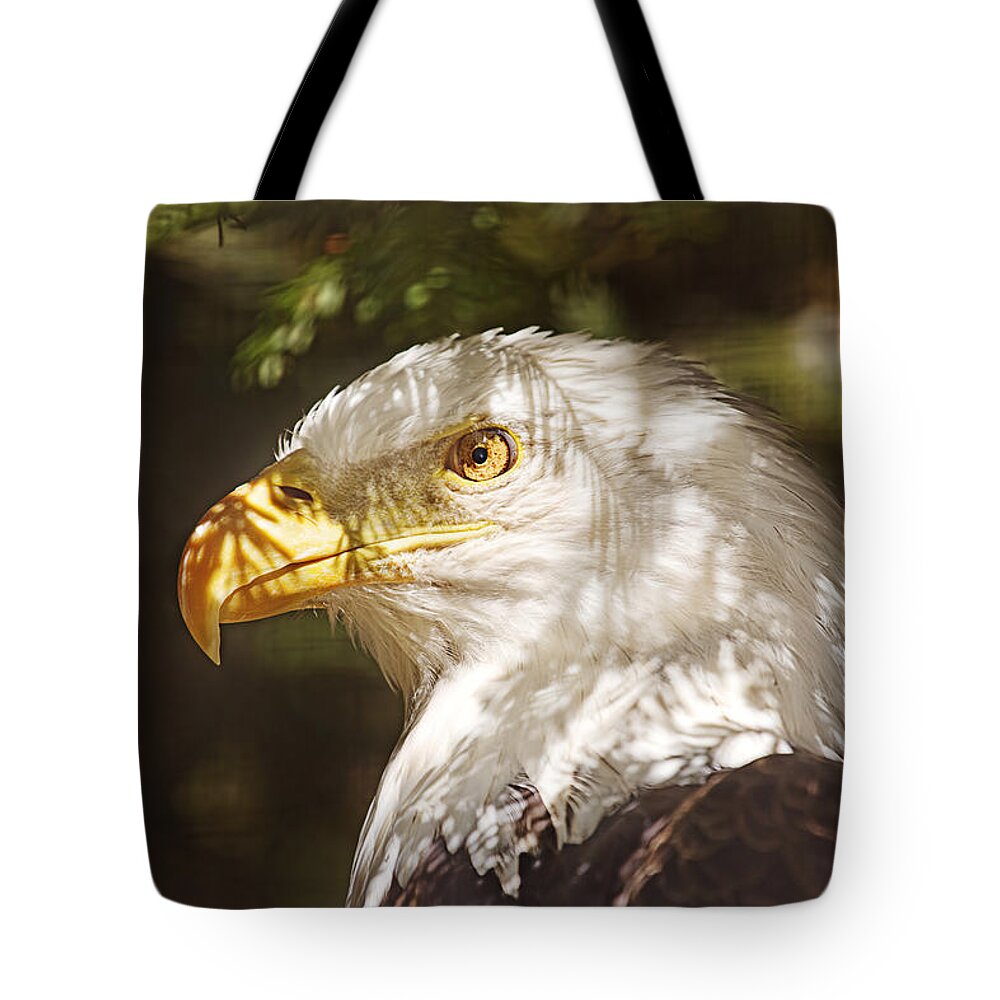 Animal Tote Bag featuring the photograph Bald Eagle Portrait by Brian Cross