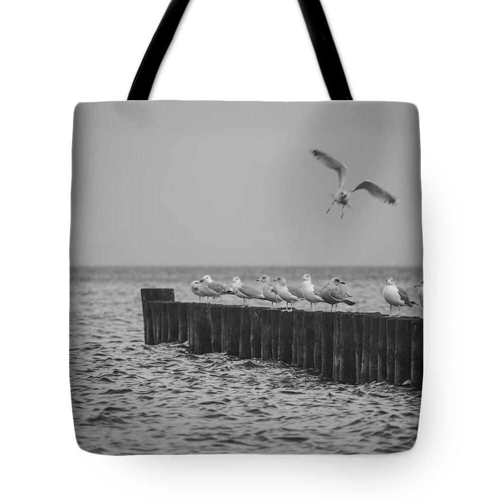 Island Of Ruegen Tote Bag featuring the photograph Baltic Sea-Gulls by Ralf Kaiser