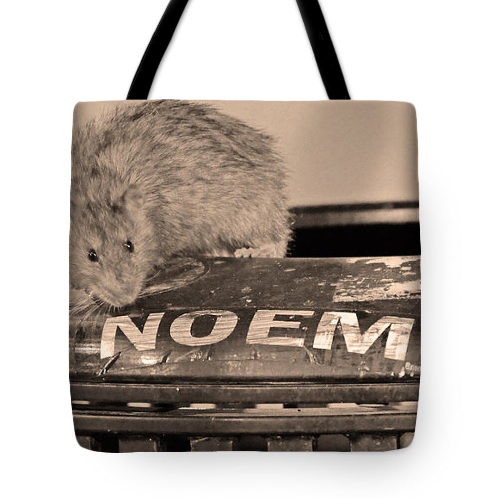 Rat Tote Bag featuring the photograph Baltimore Rat by La Dolce Vita