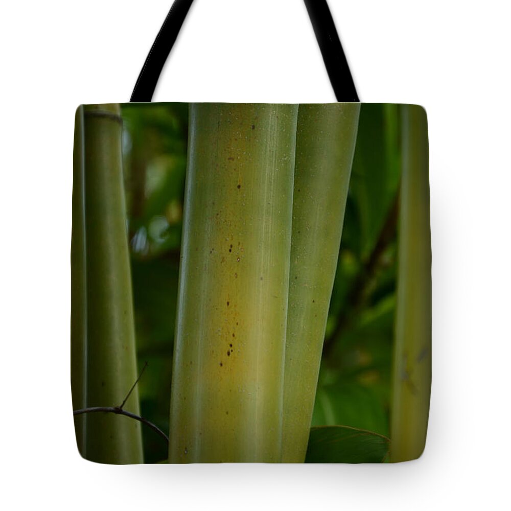 Bamboo Tote Bag featuring the photograph Bamboo II by Robert Meanor