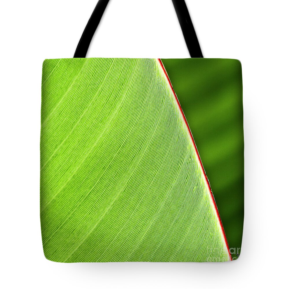 Leaf Tote Bag featuring the photograph Banana Leaf by Heiko Koehrer-Wagner