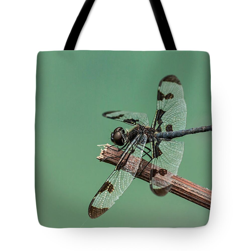 Odonata Tote Bag featuring the photograph Banded Pennant by Jim Zablotny