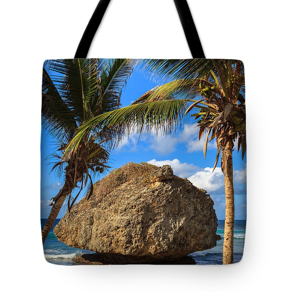 Barbados Tote Bag featuring the photograph Barbados Beach by Raul Rodriguez