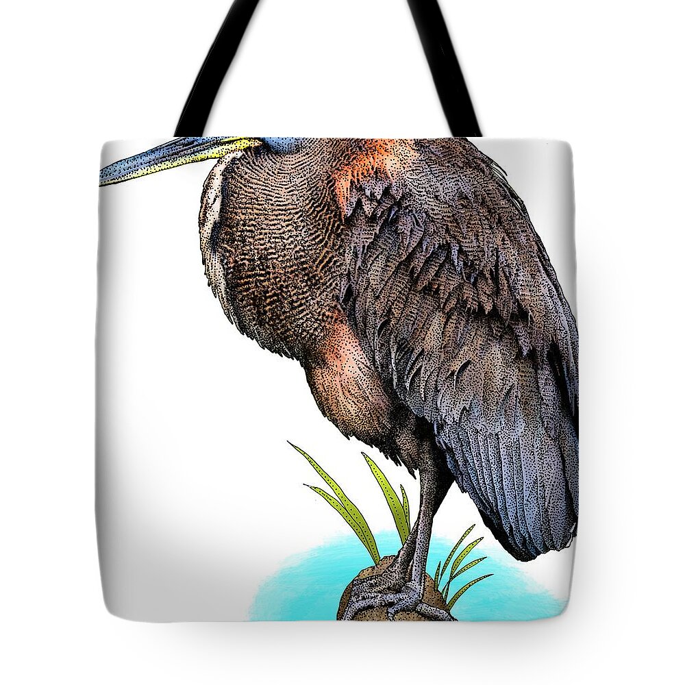 Tigrisoma Mexicanum Tote Bag featuring the photograph Bare Throated Tiger Heron by Roger Hall