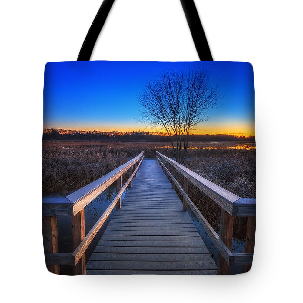Owed To Nature Tote Bag featuring the photograph Bare Trees from Summer Long Forgotten by Sylvia J Zarco