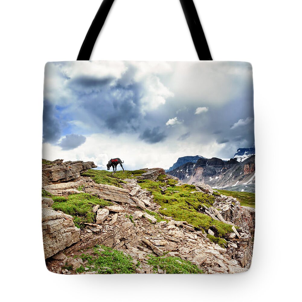Jasper National Park Tote Bag featuring the photograph Barefoot Ramble by Kathleen Bishop