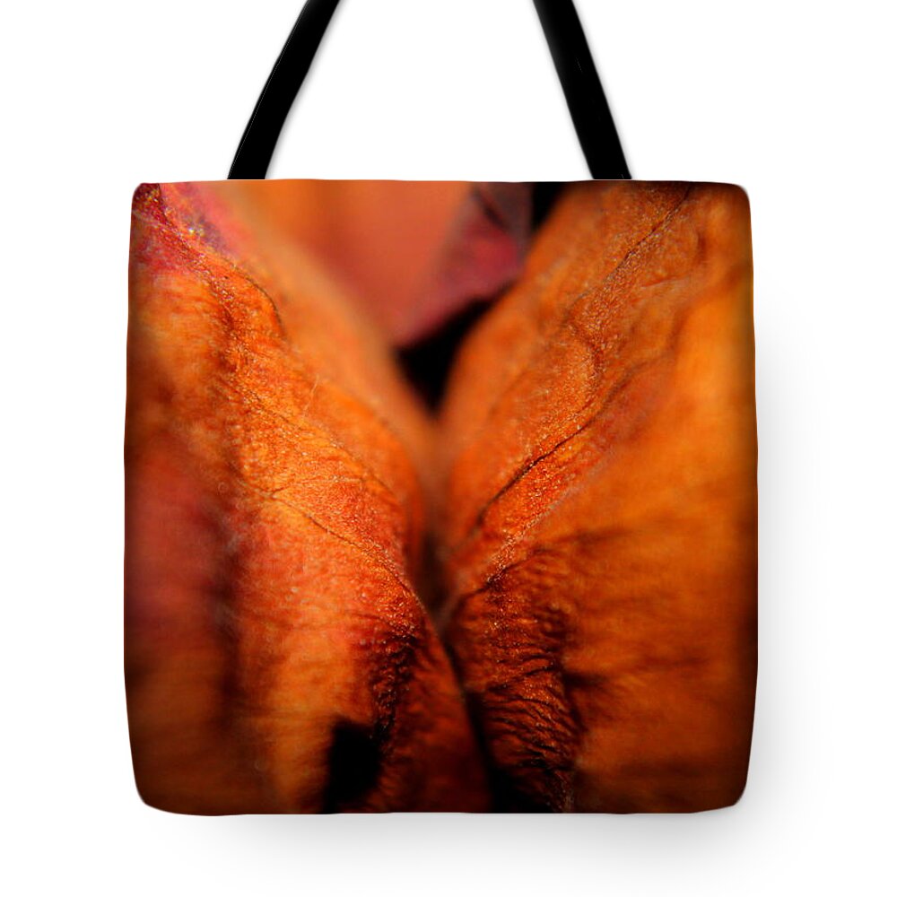 Abstract Tote Bag featuring the photograph Barely Touching by Viviana Nadowski