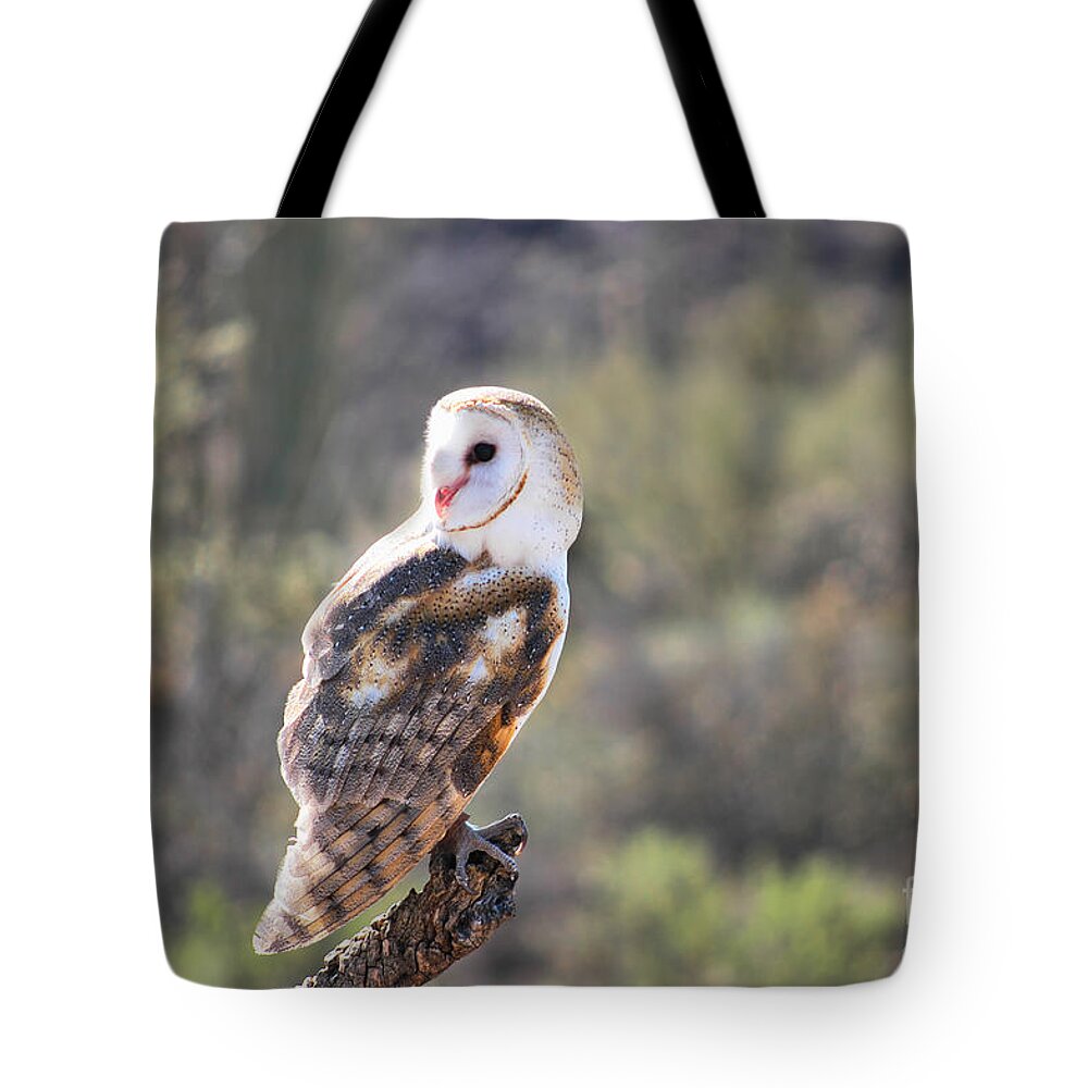 Owl Tote Bag featuring the photograph Barn Owl 1 by Al Andersen