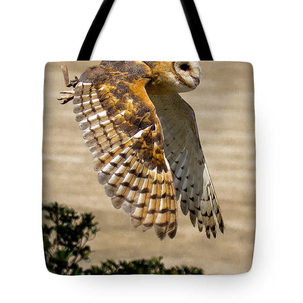 Barn Owl Tote Bag featuring the photograph Barn Owl by Robert L Jackson