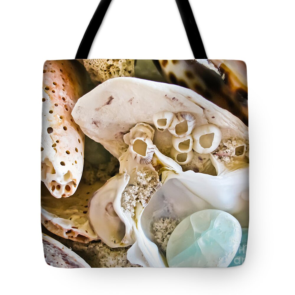 Shell Tote Bag featuring the photograph Barnacles and Shells by Colleen Kammerer