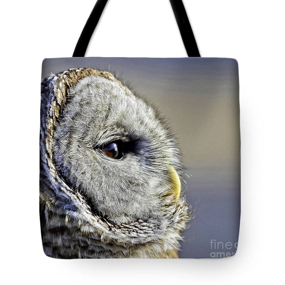 Barred Owl Tote Bag featuring the photograph Barred None by Jan Killian
