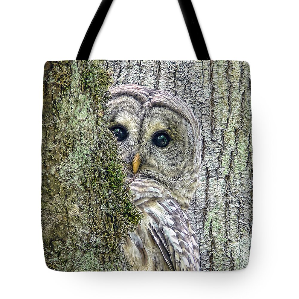 Owl Tote Bag featuring the photograph Barred Owl Peek a Boo by Jennie Marie Schell