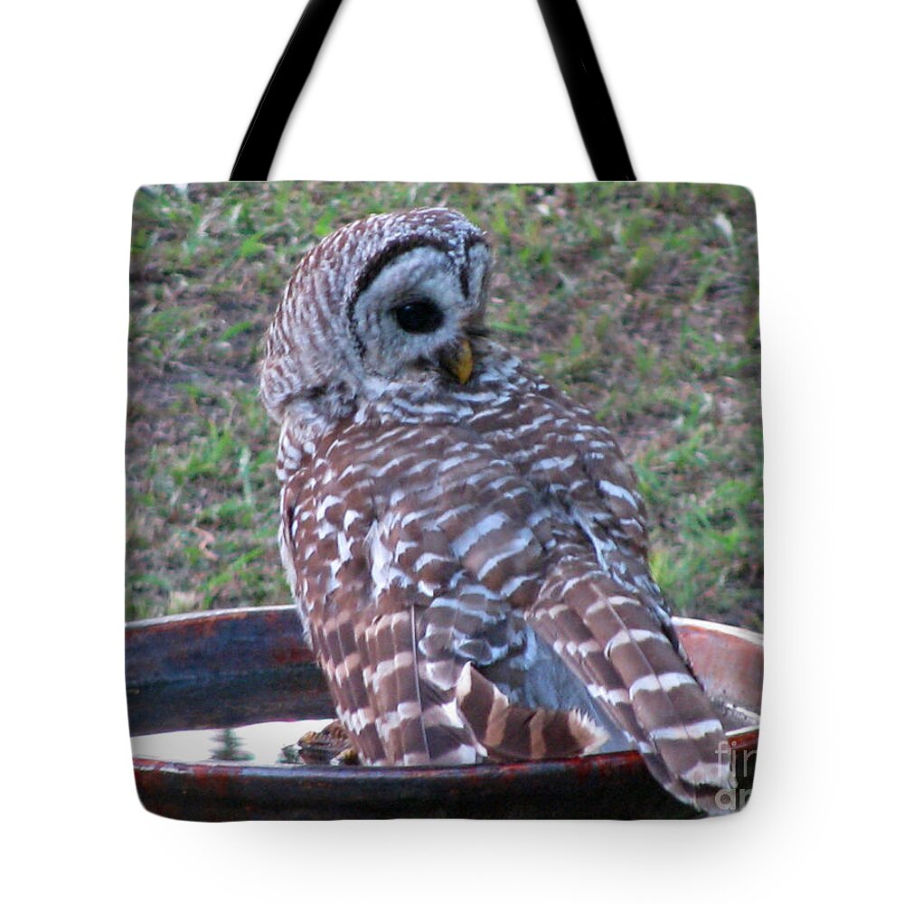 Barred Owl Tote Bag featuring the photograph Barred Owl Taking a Dip by Jimmie Bartlett