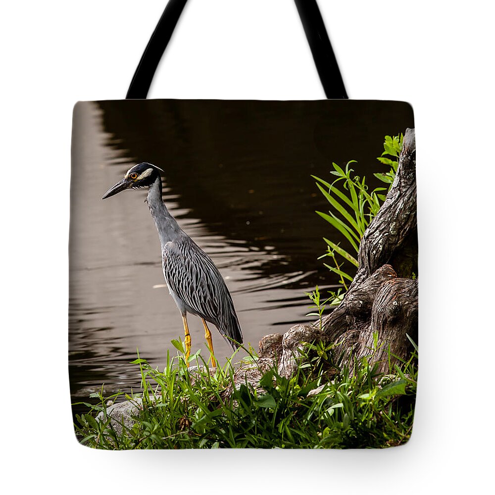 New Orleans Tote Bag featuring the photograph Bayou Bird by Melinda Ledsome