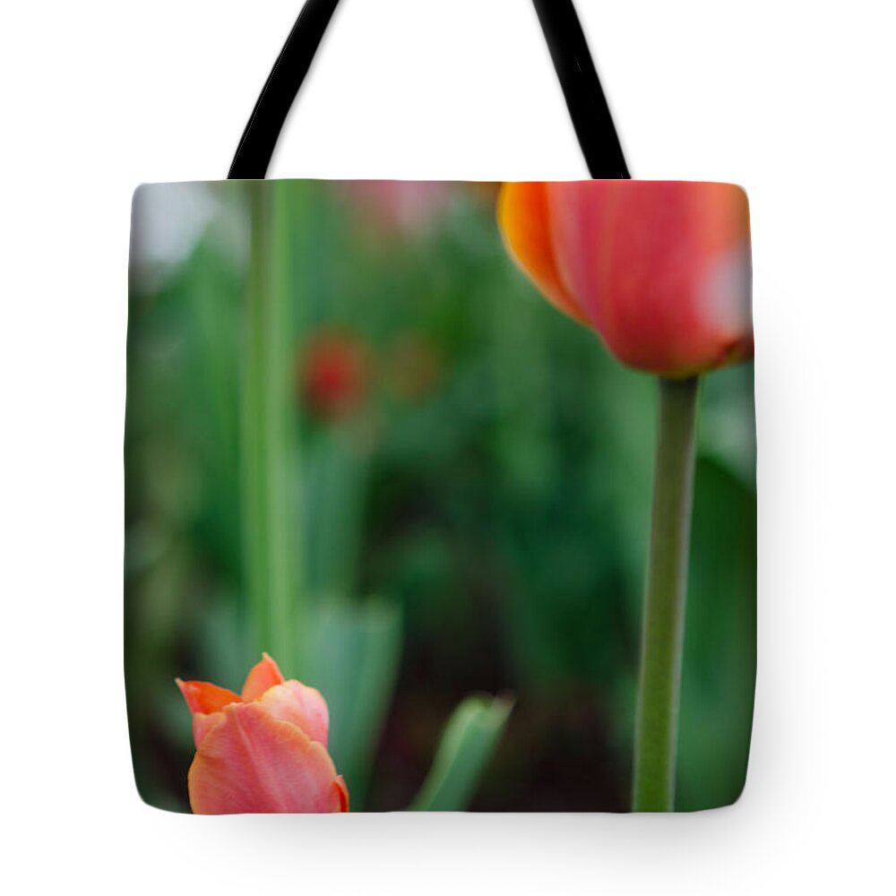 Tulip Tote Bag featuring the photograph Be Like Mom by Kathy Paynter