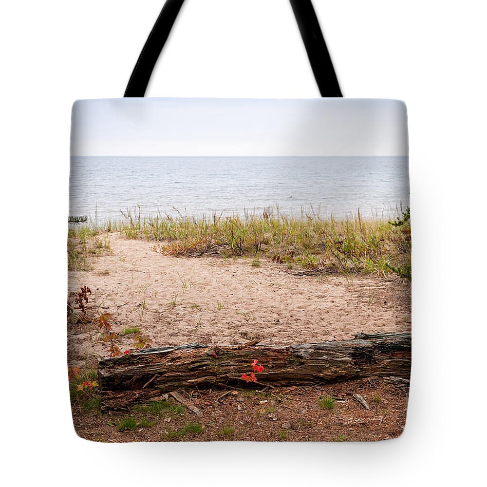 North Tote Bag featuring the Beach Path by Les Palenik