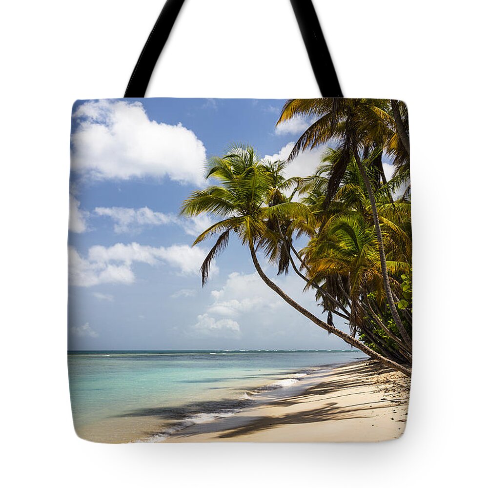 Konrad Wothe Tote Bag featuring the photograph Beach Pigeon Point Tobago West Indies by Konrad Wothe