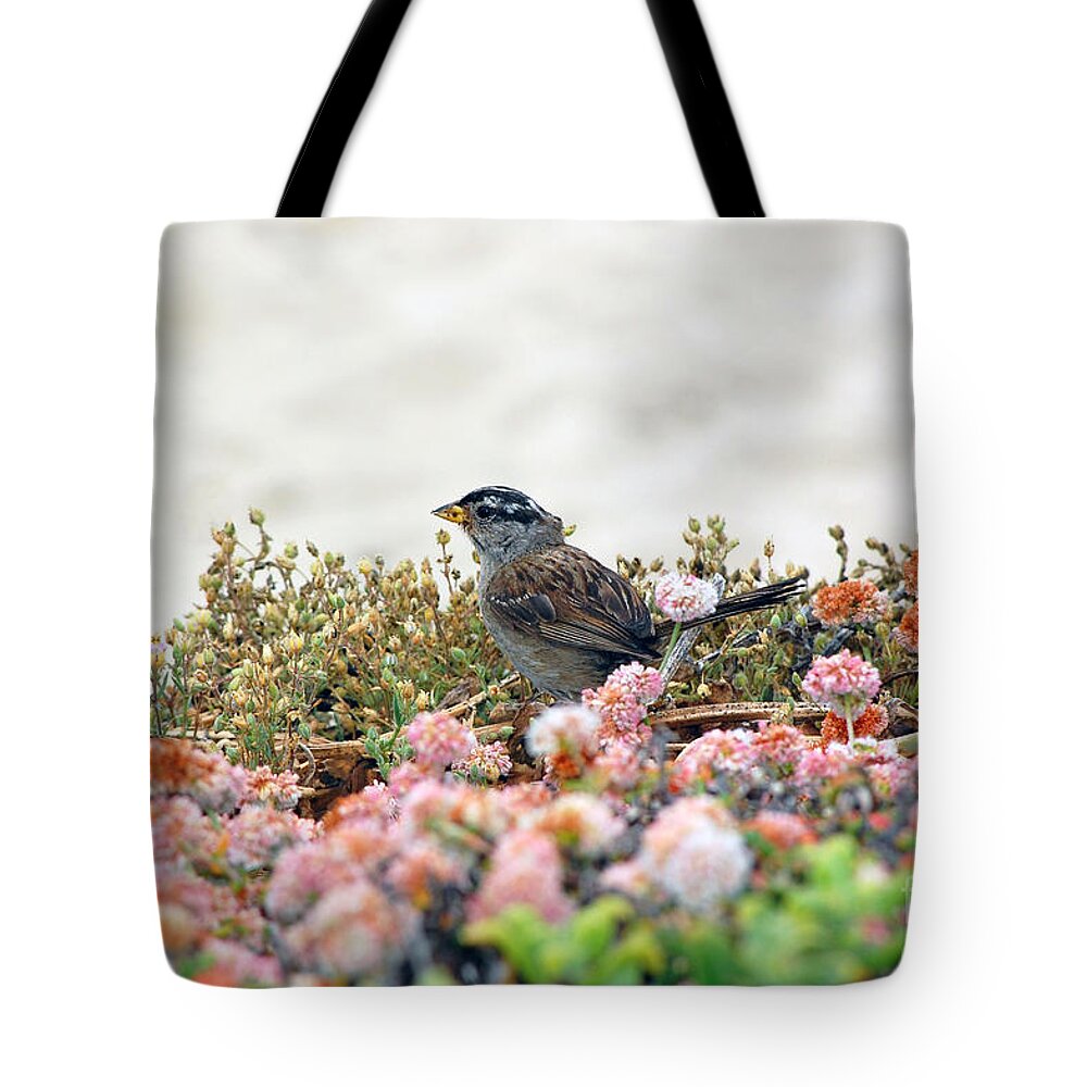Sparrow Tote Bag featuring the photograph Beach Sparrow by Debra Thompson