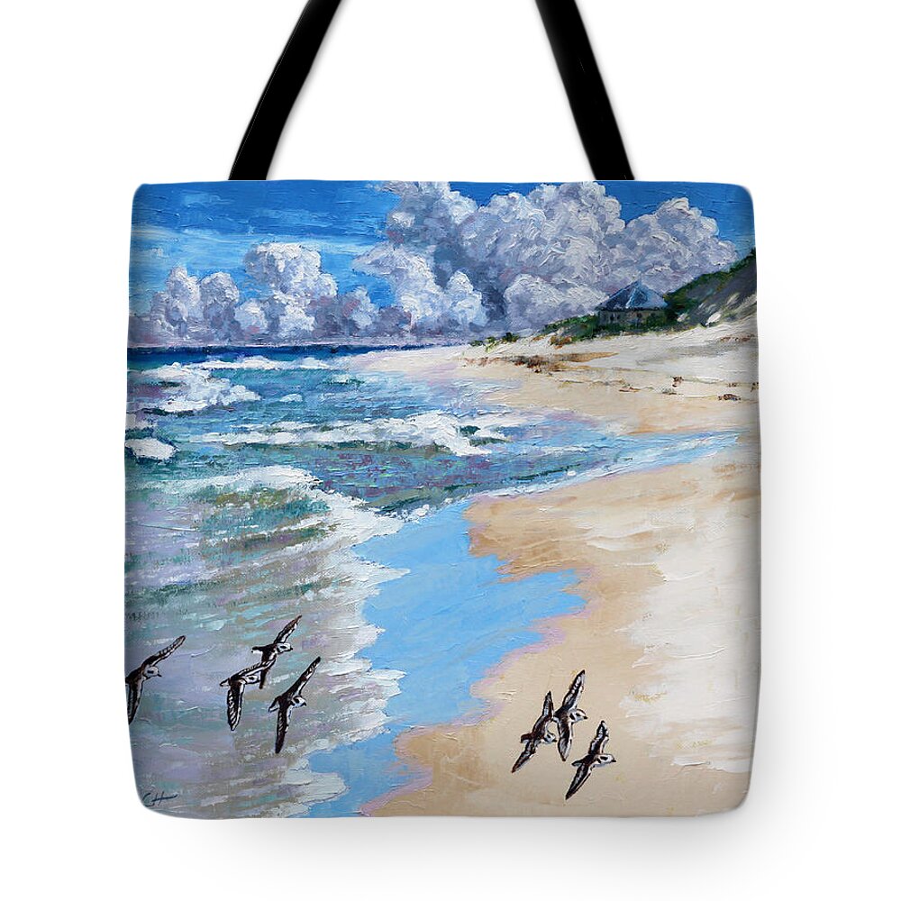 Ocean Tote Bag featuring the painting Beach Walking by John Lautermilch