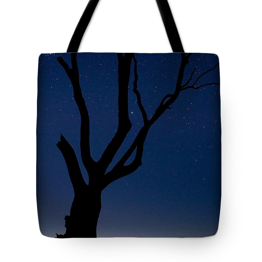 2008 Tote Bag featuring the photograph Beachmere by Robert Charity