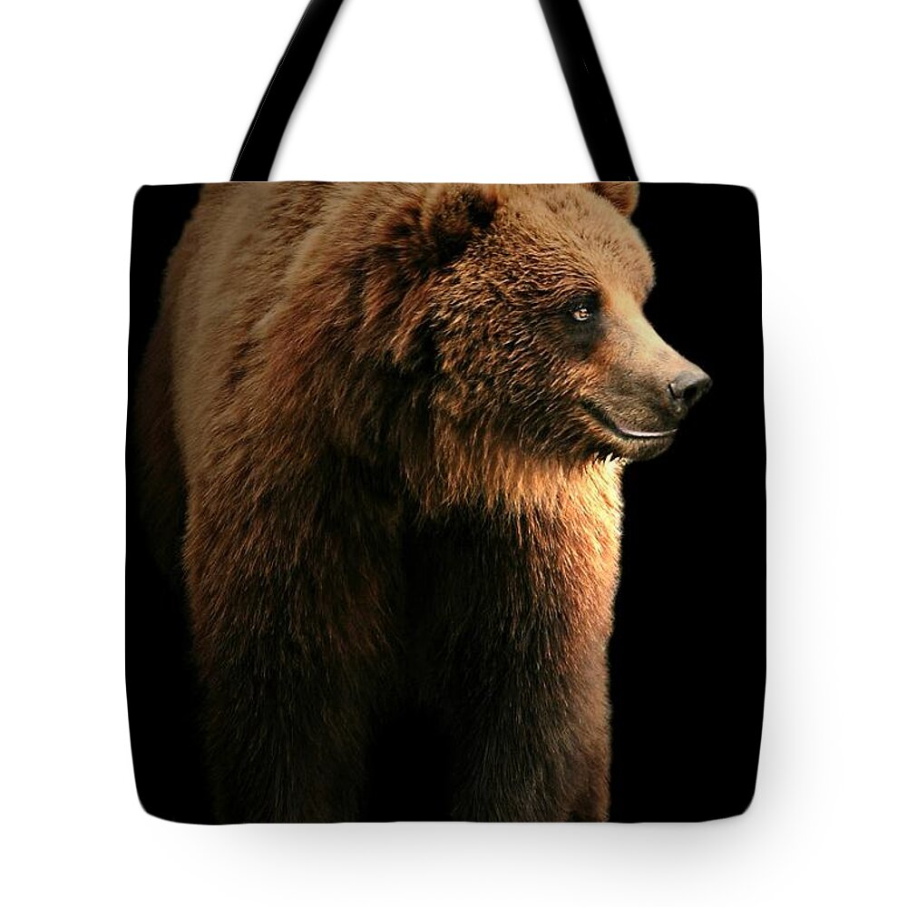 Animal Tote Bag featuring the photograph Bear Essentials by Diana Angstadt