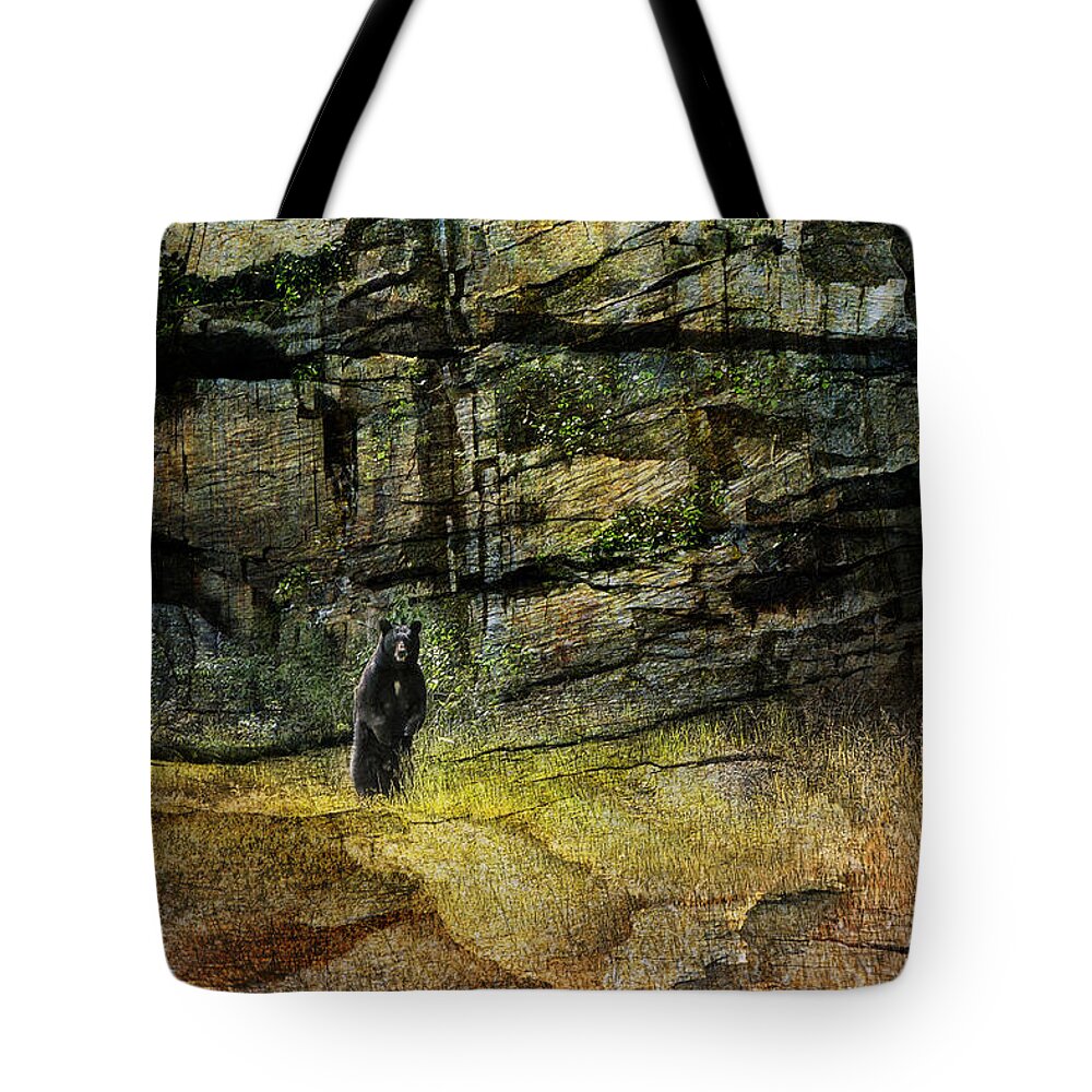 Black Bear Tote Bag featuring the photograph Bear Stare by Ed Hall