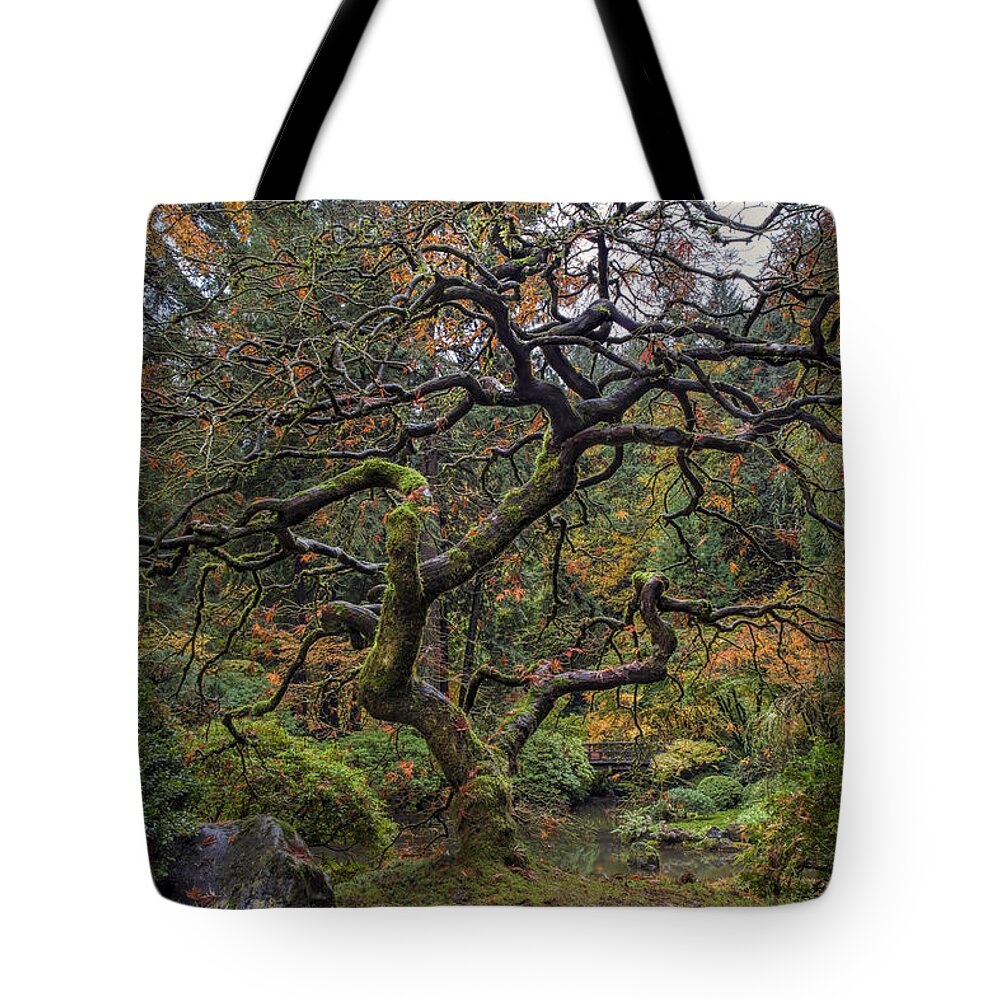 Portland Japanese Garden Tote Bag featuring the photograph Beautiful and Bare Japanese Lace-Leaf Maple Tree by David Gn