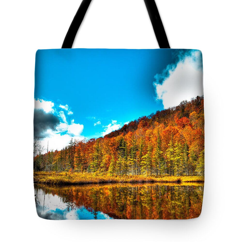Adirondack's Tote Bag featuring the photograph Beautiful Bald Mountain Pond by David Patterson