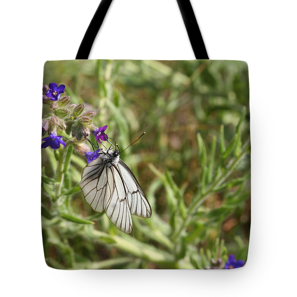 White Tote Bag featuring the photograph Beautiful Butterfly in Vegetation by Dreamland Media