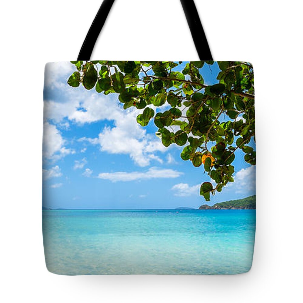 Caribbean Tote Bag featuring the photograph Beautiful Caribbean beach by Raul Rodriguez
