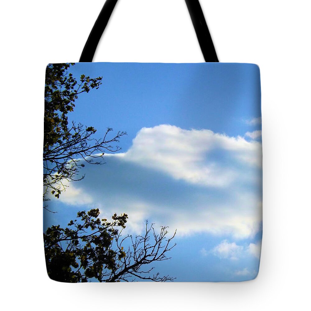 Sky Tote Bag featuring the photograph Beautiful Day by Robyn King