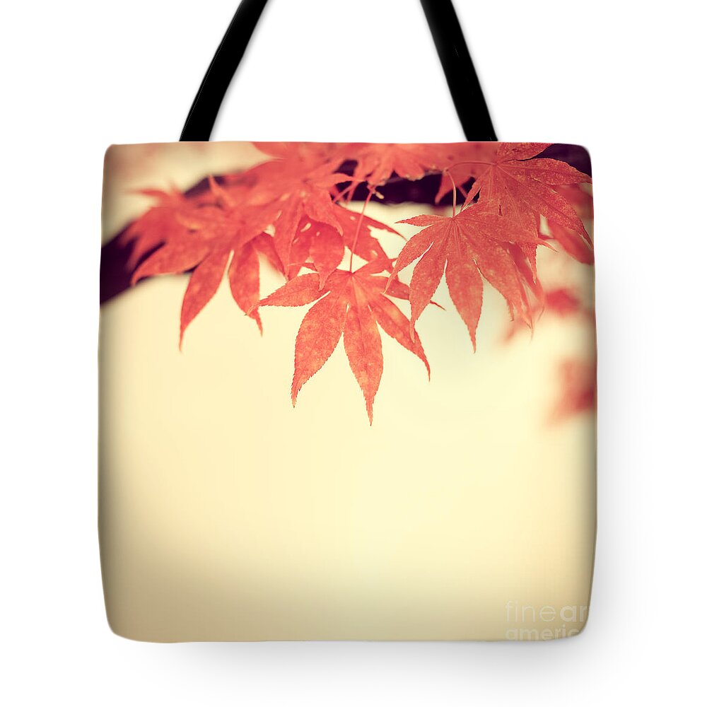 Autumn Tote Bag featuring the photograph Beautiful Fall by Hannes Cmarits