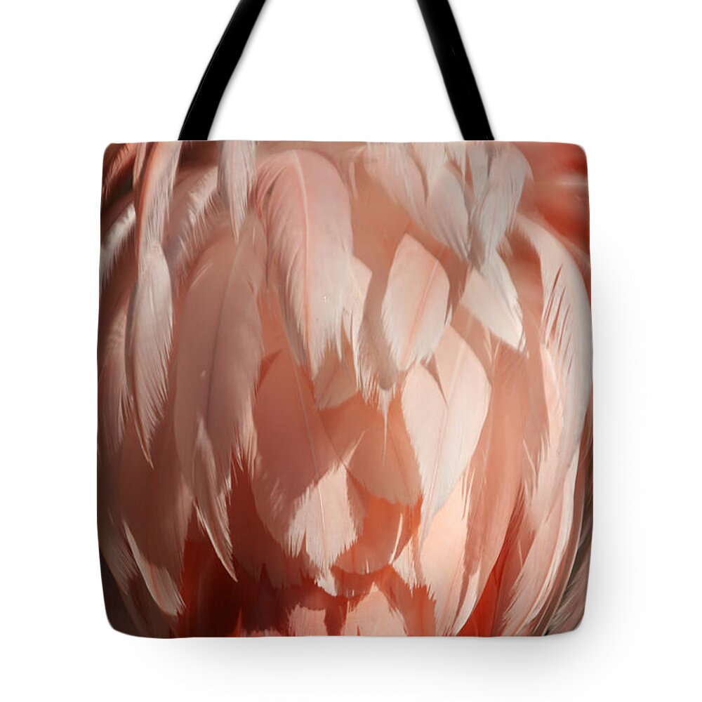 Flamingo Tote Bag featuring the photograph Beautiful Feathers by Sheryl Unwin